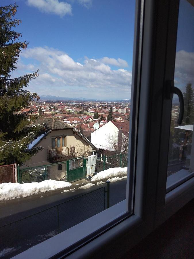 Flori'S Apartment Brașov Exterior foto